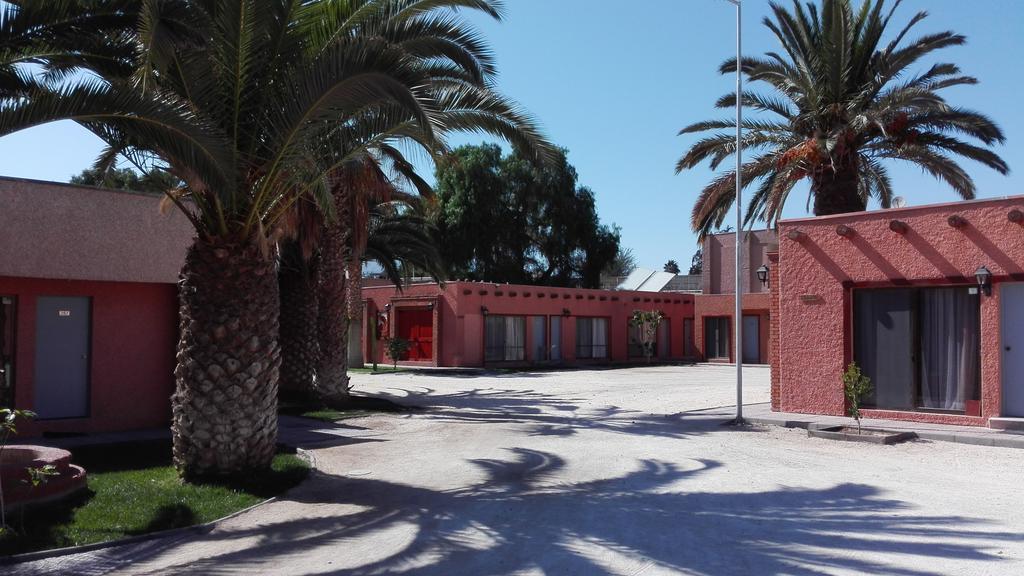 Hotel Las Pircas Copiapó Exteriör bild
